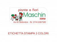 Etichette adesive per fioristi, fiorai e vivaisti (mm 45x20)  (cod.38G)